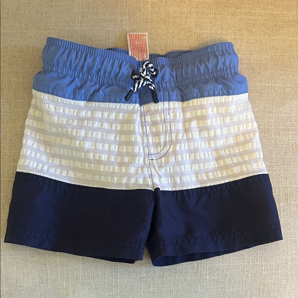 Colorblock Blue & White Men's Swim Shorts